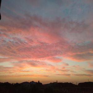 中国女人真人一级毛片3
