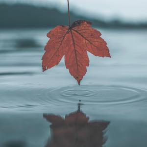 中国女人真人一级毛片3
